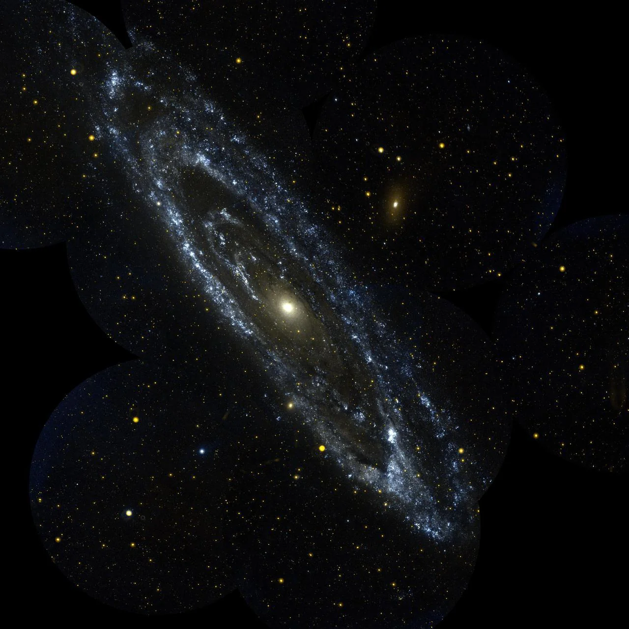 Andromeda Galaxy as a representative of cosmic structures